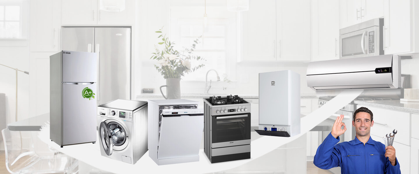 Bigadiç Daikin Servisi